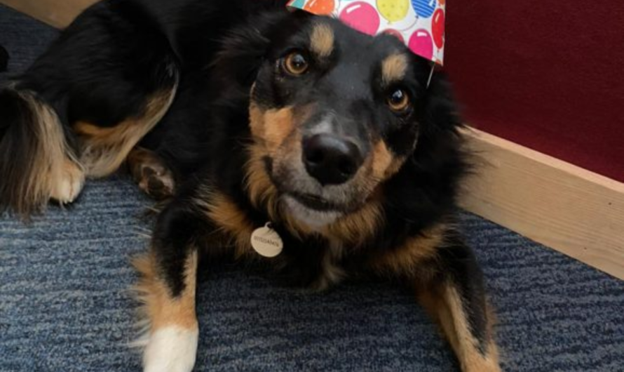 My birthday feels empty without him. I’m thinking a little wish could brighten the day.
